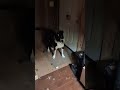 somebody wants out