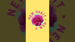 Spring Equinox ✩ Time for a new habit!