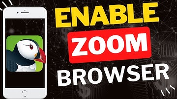 How to Enable Zoom in Puffin Browser