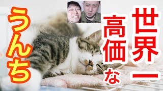 ネコのうんちコーヒーは美味しい？飲んでみた！【世界一高いコーヒー】
