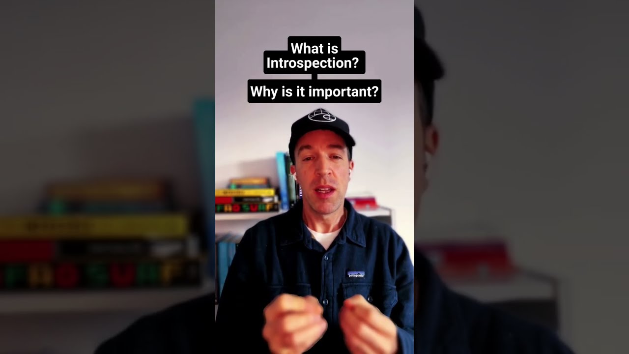 What Is Introspection 