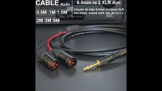 Dây 6ly stereo sang 2 đầu canon đực - 6.35mm to 2 XLR male cable