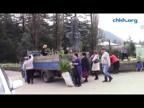 მიწის რეგისტრაციის პრობლემები ხარაგაულში