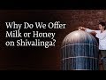 Why Do We Offer Milk or Honey on Shivalinga? | Sadhguru