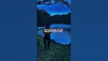 اكتب شيء تؤجر عليه 🌺 القارئ محمد اللحيدان 🌺 #قران_كريم #quran #كرومات_قرآن #ارح_قلبك