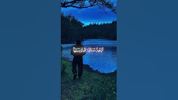 اكتب شيء تؤجر عليه 🌺 القارئ محمد اللحيدان 🌺 #قران_كريم #quran #كرومات_قرآن #ارح_قلبك