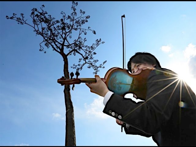 奇跡の一本松に「津波バイオリン」の音響く - YouTube