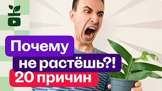 видео: 20 причин Почему твои растения не растут. картинка: 20 причин Почему твои растения не растут.