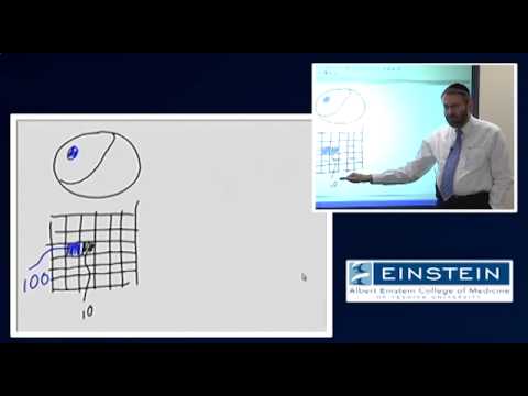 introducing-mri:-the-basics-(1-of-56)