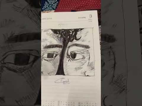 Bairan drawing