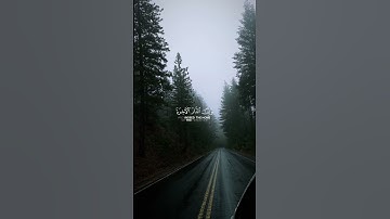 {وَمَا هَٰذِهِ ٱلْحَيَوٰةُ ٱلدُّنْيَآ إِلَّا لَهْوٌ وَلَعِبٌ ۚ}#قرآن #سورة_العنكبوت #عبد_الرحمن_مسعد