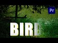 Cinematic Text Fade Transition : Premiere Pro