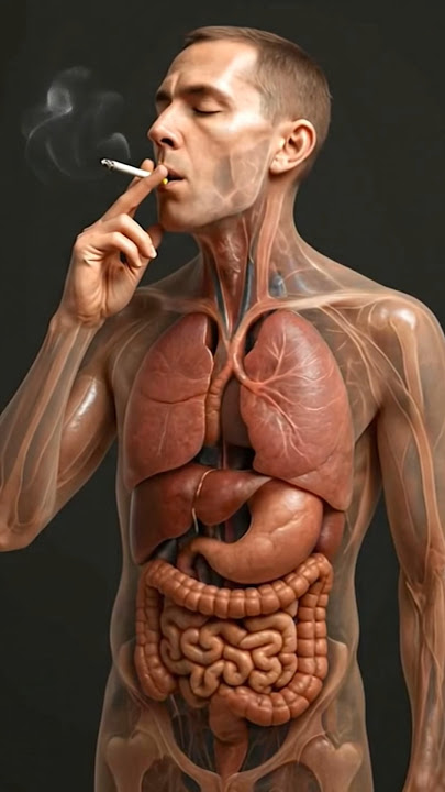 Inside the HumanBody-Sciencein Motion #humanbody #anatomy #3danimation #sciencetok #aiart