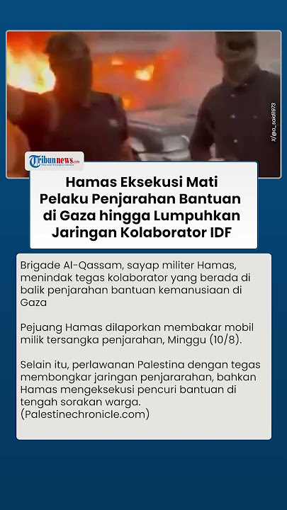 Palestina Bersorak! Hamas Eksekusi Mati Penjarah Bantuan di Gaza, Lumpuhkan Geng Kolaborator Israel