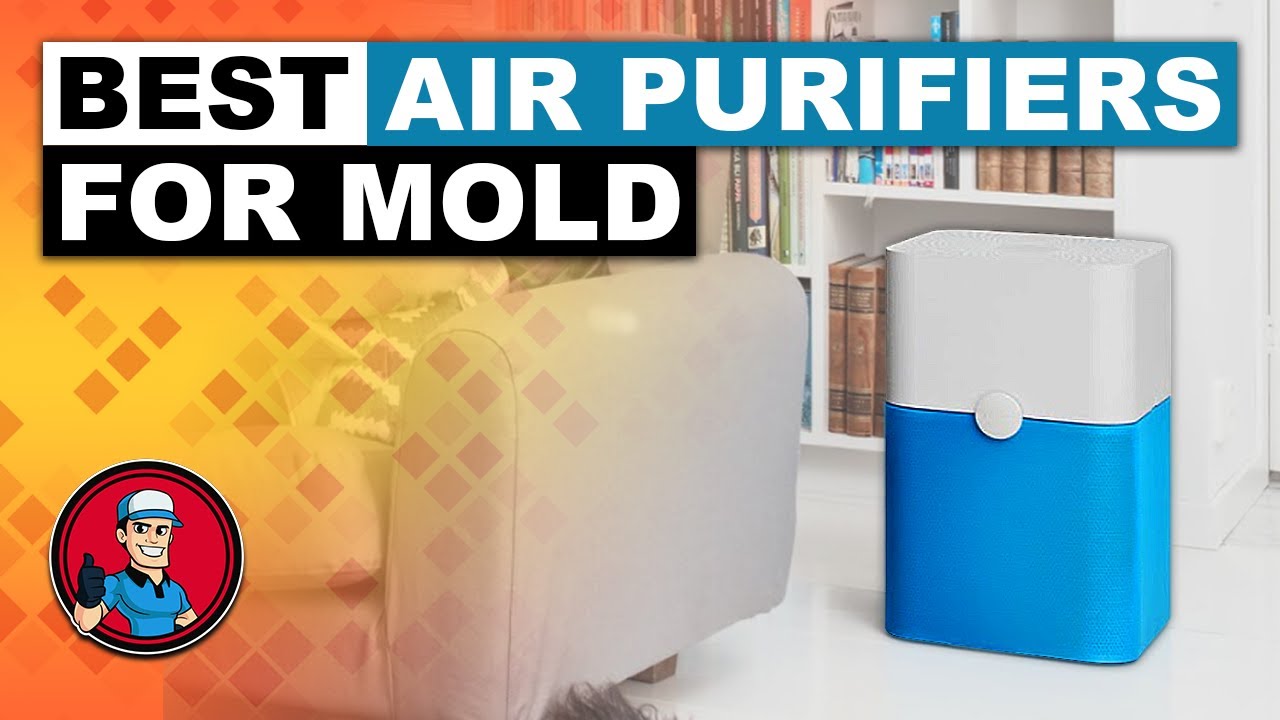 Best Air Purifiers For Mold ????: The Best Options Reviewed | HVAC Training 101