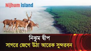 নিঝুম দ্বীপ : বঙ্গোপসাগরে জেগে উঠা আরেক সুন্দরবন !! Nijhum Dwip, Most beautiful island in Bangladesh