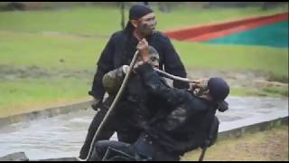 TAIPUR KOSTRAD memakan ular kobra