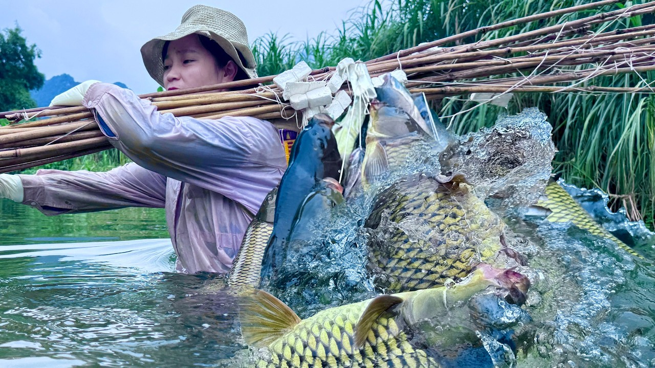 dreams of fisherman fishing with a net Alvinlite Foldable Circular Drawable 150cm High Strength Nylon Mesh Floating Shrimp Cage Crab Fish Trap Cast : Sports & Outdoors Teamwork Makes the Dream Work