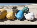 Over 60 Piggy Banks Found on Texas Beach