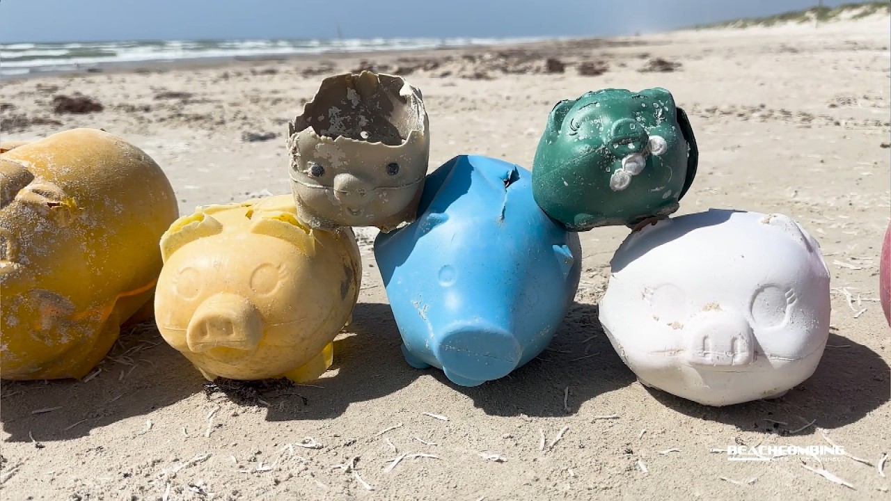 Over 60 Piggy Banks Found on Texas Beach