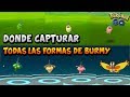 DÓNDE CAPTURAR TODAS LAS FORMAS DE BURMY? LOCALIZACIÓN+ EVOLUCIONES
FORMAS / GÉNERO EN POKÉMON GO