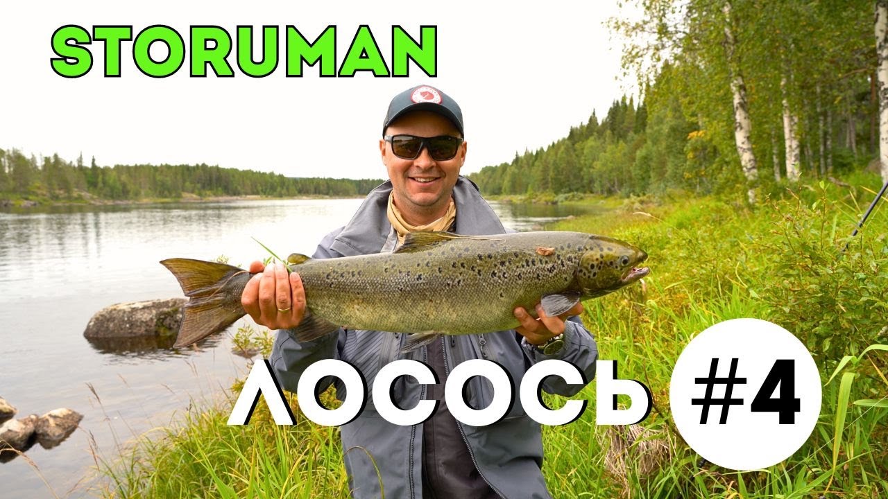 Storuman : Лето - Часть четвёртая | Лосось в Швеции: Рыбалка Тысячи Забросов | Палия | Цена поездки