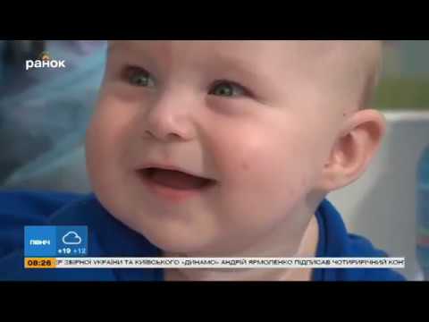 укусы комара фото онлайн