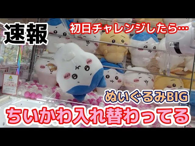 入れ替わってるぬいぐるみ　ちいかわ　3点セット ちいかわ 入れ替わってるぬいぐるみBIG | 商品紹介 | 株式会社