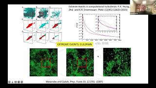 TURW03 | Prof. Luca Biferale | Lagrangian Forcing Protocols for Turbulence and Turbulent Convection