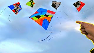 THIS RARELY UNIQUE KITE APPEARS, MAKING EVERYONE ASTONISHED