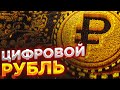 Цифровой рубль! Внимание! Что важно знать?