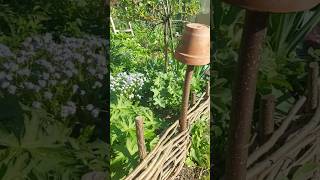 Flechtzaun Selber Machen Natürlich Nachhaltig Aus Haselnuss Weide