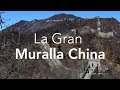 La Gran Muralla China y un mercado donde se comen BICHOS | Vani y Mati de Viaje China #2