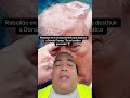 Rebelión en el mundo maga para sustituir a donald trump