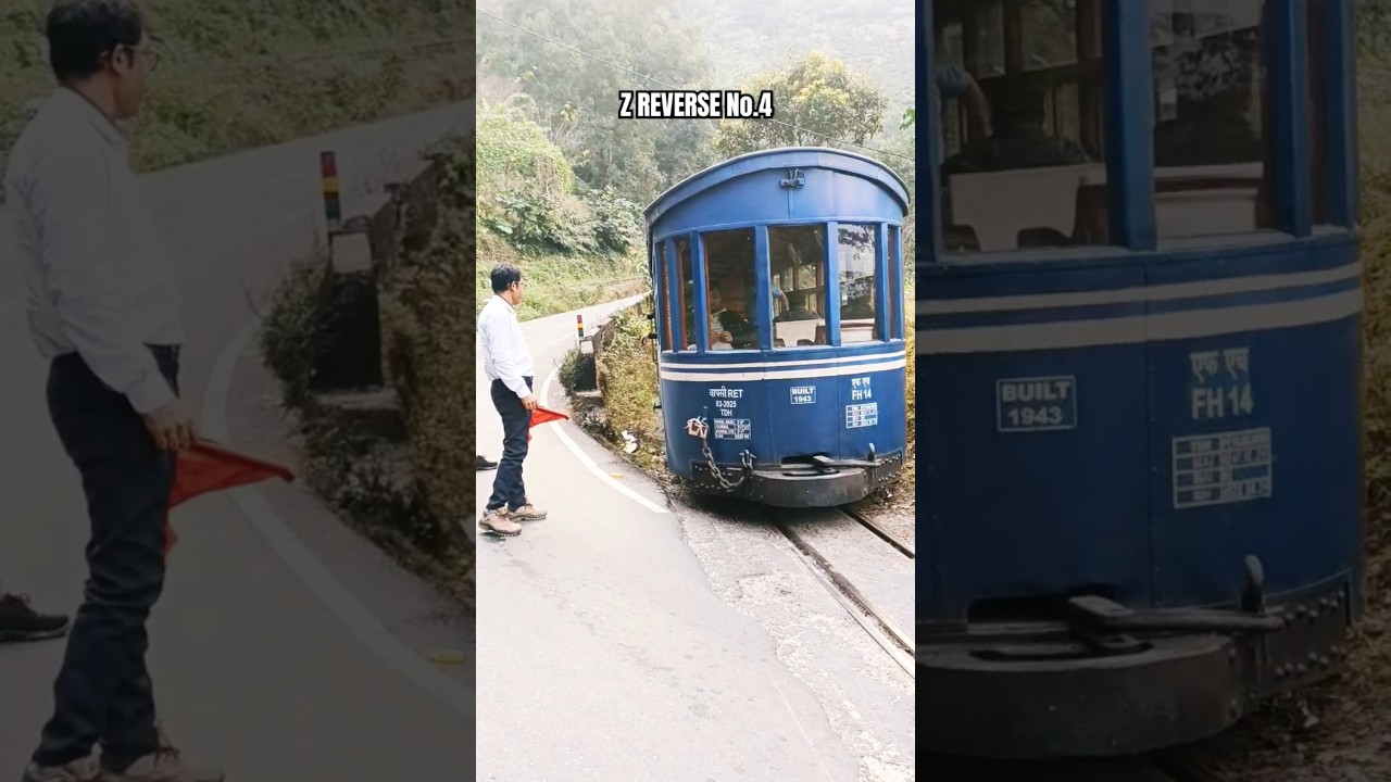 Z REVERSE NO 4 