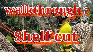 Famous Real Tree Work Walkthrough : shelf cut Wealth