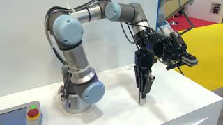 RARUK at PPMA Show 2017