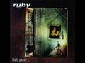 Ruby - Swallow Baby