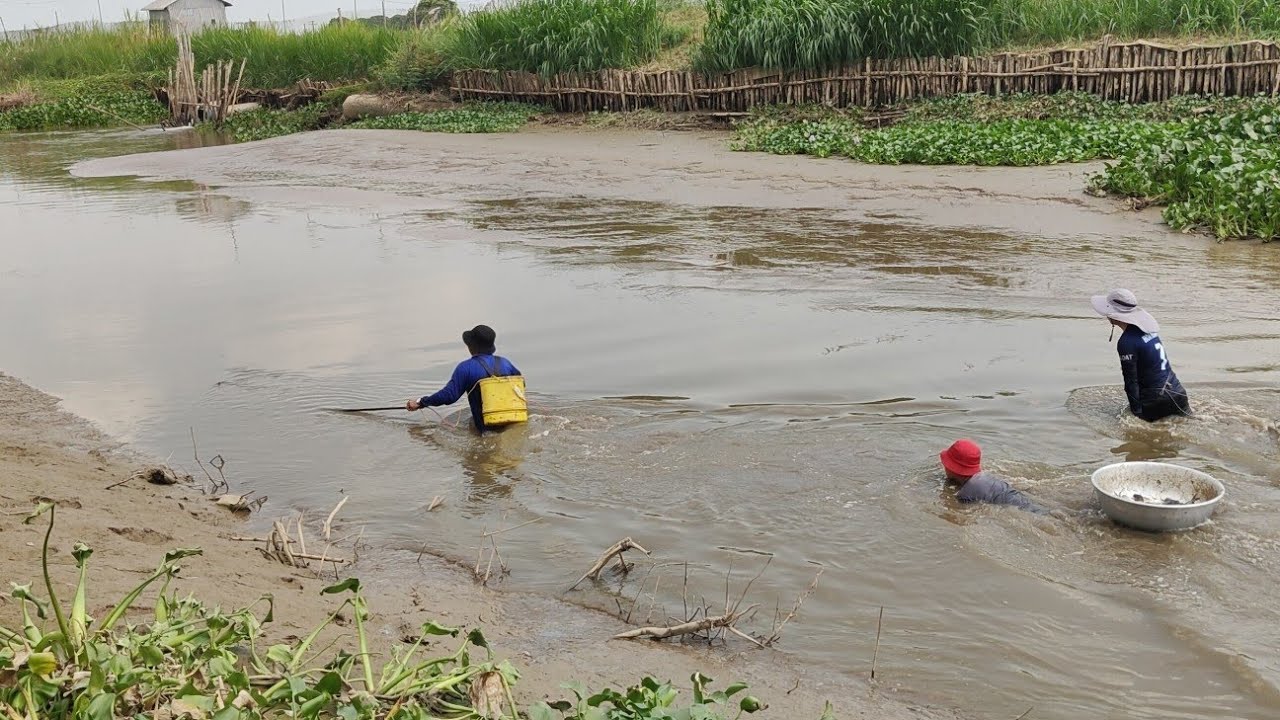 xiệt cá tra bên cồn nhiều cá thấy mê. về nướng cá nhậu 