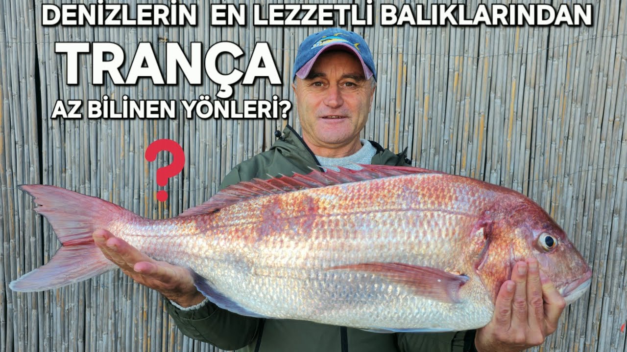 МЕНЕЕ ИЗВЕСТНЫЕ АСПЕКТЫ TRANSCHAS?