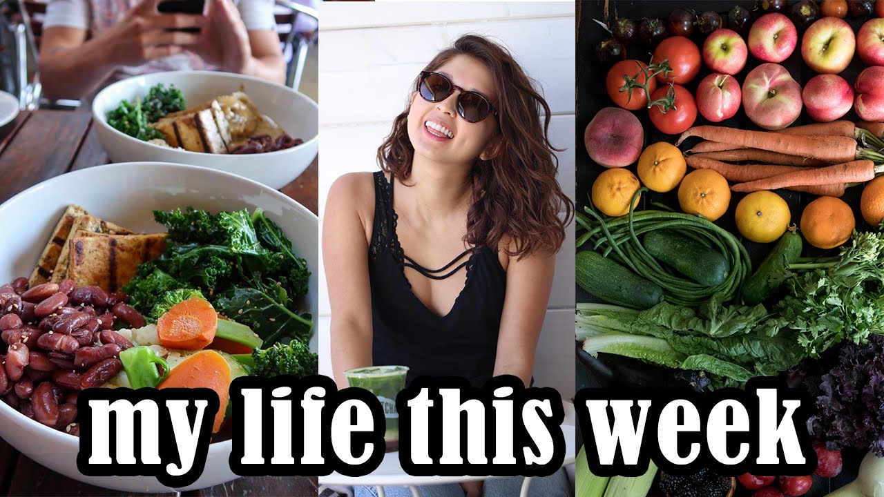 What Happened Last Week 🙊 ️ YouTube