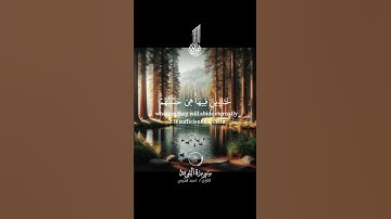 قرآن كريم بصوت جميل جدا #قرآن #اكسبلور #قرآن_كريم