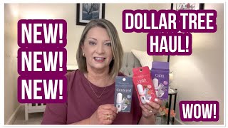 DOLLAR TREE HAUL NEW Finds WOW DT NEVER DISAPPOINTS