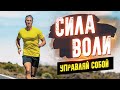 Сила воли! Руководство по управлению собой. Лучшая мотивация для жизни. Аудиокнига целиком