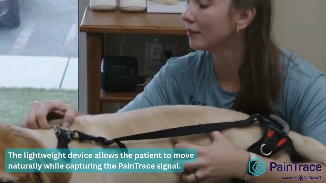 PainTrace Veterinary Conference Video