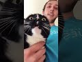 My cat can make all sorts of sounds #funny #pets #feliway #feliwayoptimum #instapets #lazypets