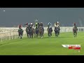 MEETING 19 | 12 Feb 2026 | RACE 7