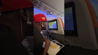 La Pantalla Del Avión