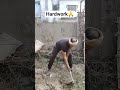 hardwork #bihar #viral #shortvideo #farming