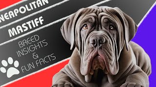 Neapolitan Mastiff | Majestic Guardians with a Gentle Heart